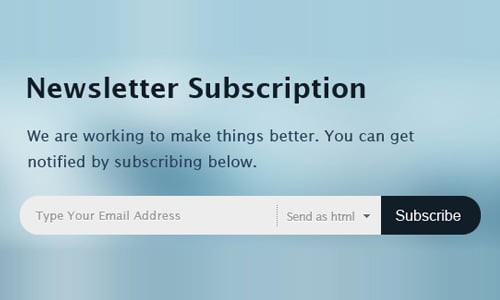 Newsletter Subscription