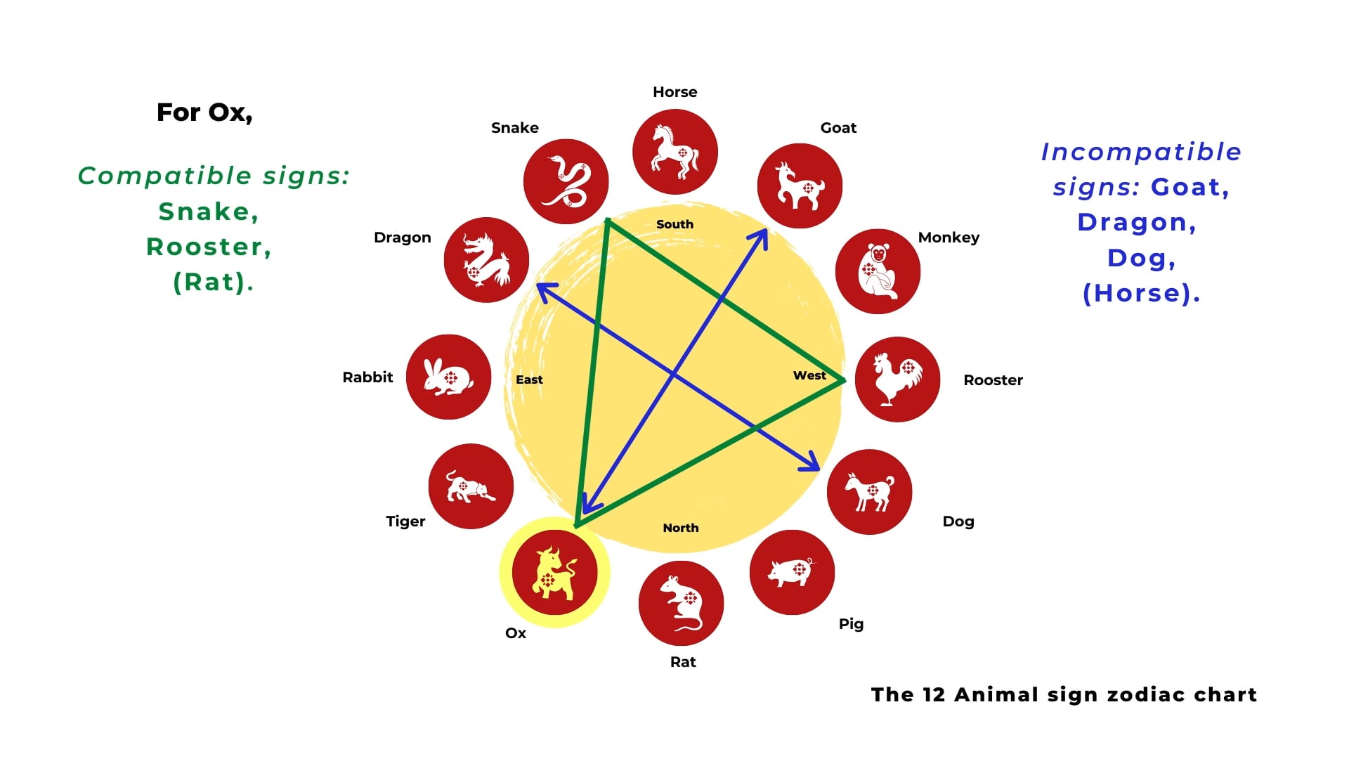 Career and Relationships of the Ox