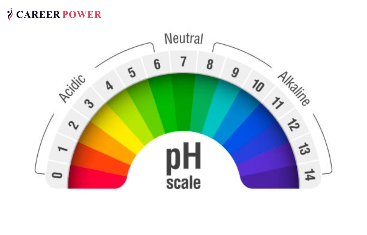 How pH Levels Affect the Body