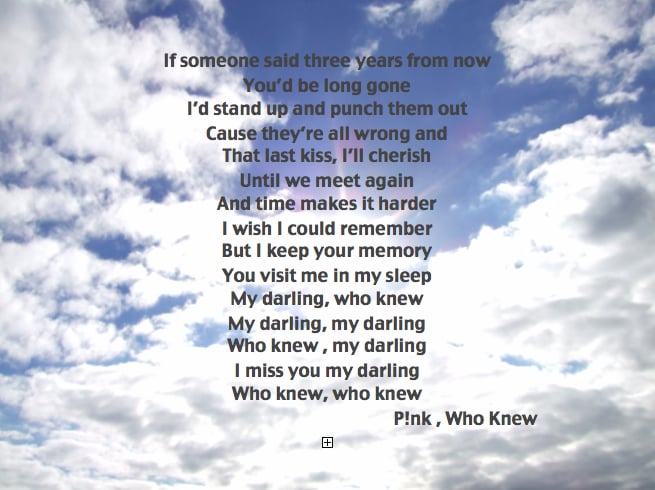 Pink Who Knew Lyrics