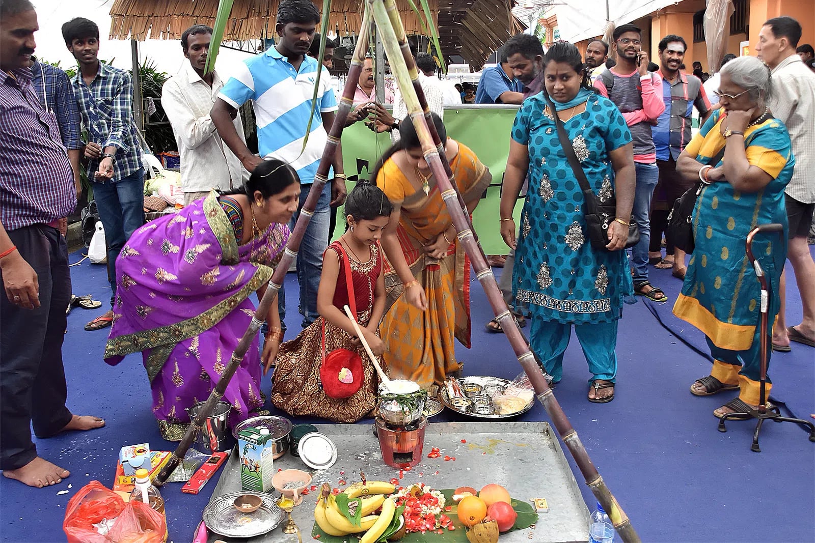 Pongal Festival