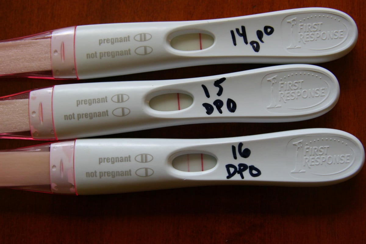 Pregnancy Test Results