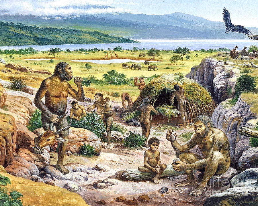 The Quaternary Period: The Time of Modern Humans and Climate Change