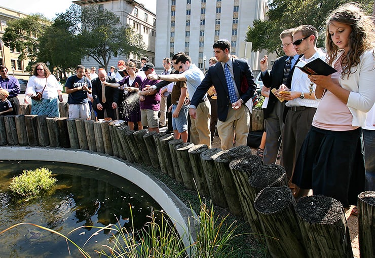 Rosh Hashanah Tashlich