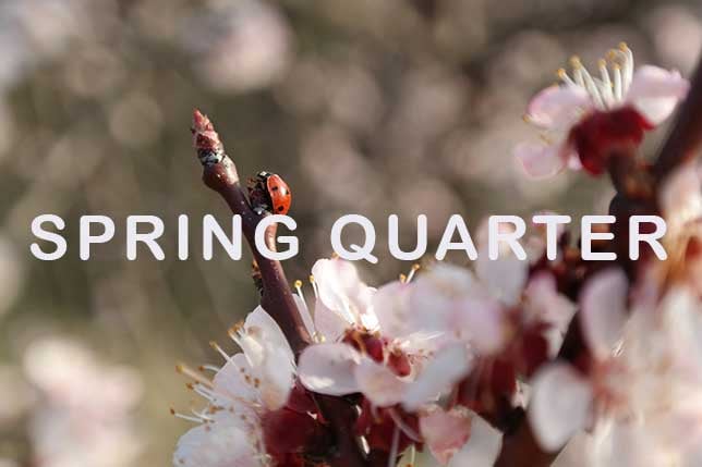 Spring Quarter: Preparing for the Future