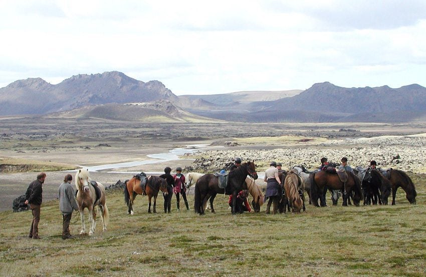 Starks Countryside