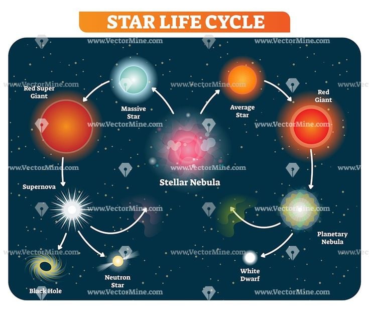 Stellar Cycles