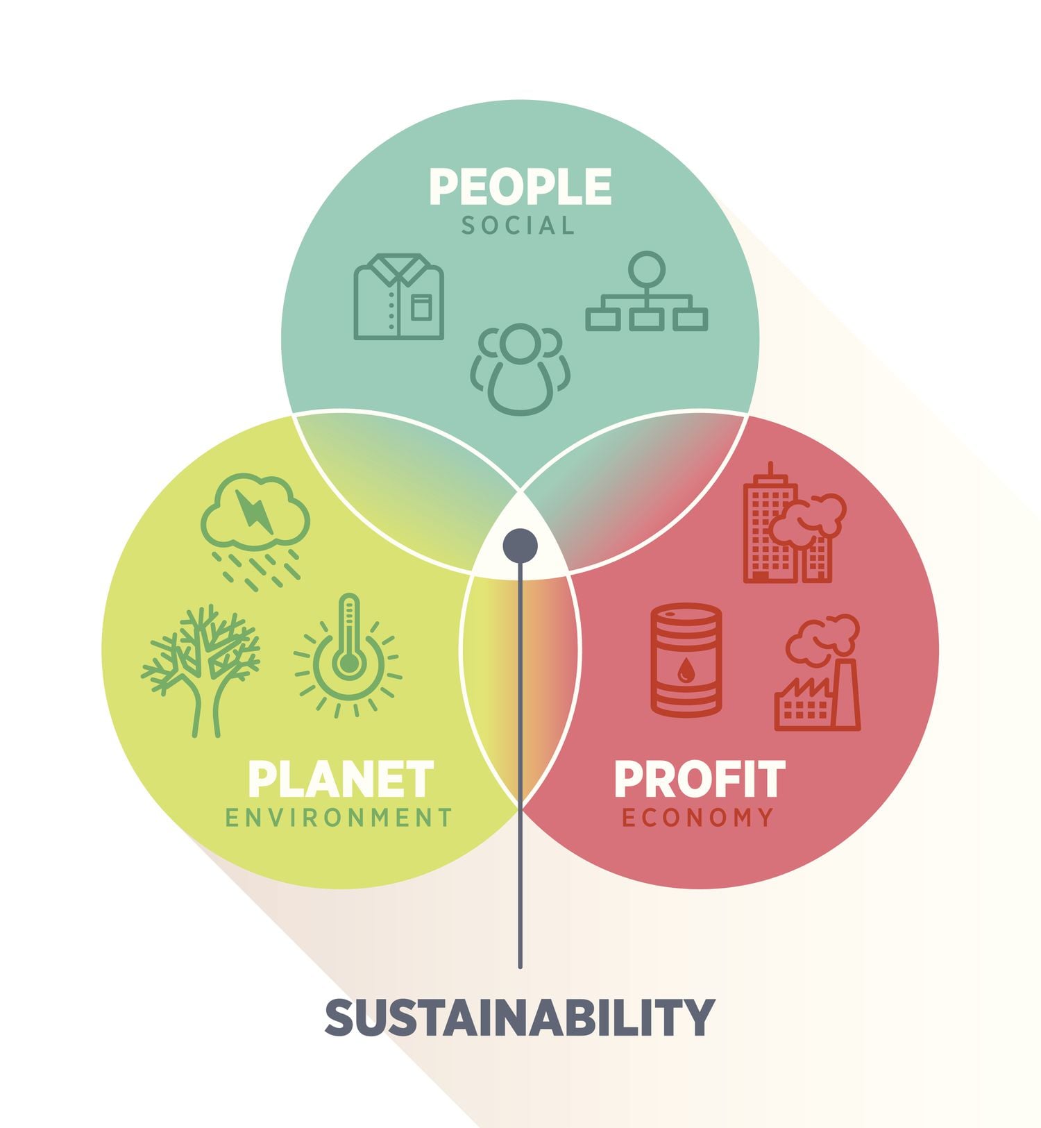 Sustainability and Environmental Efforts