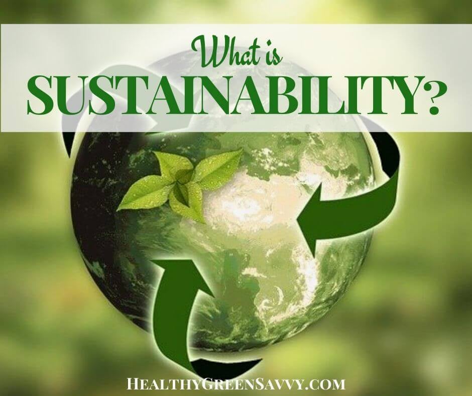 Sustainability and Eco-Friendliness