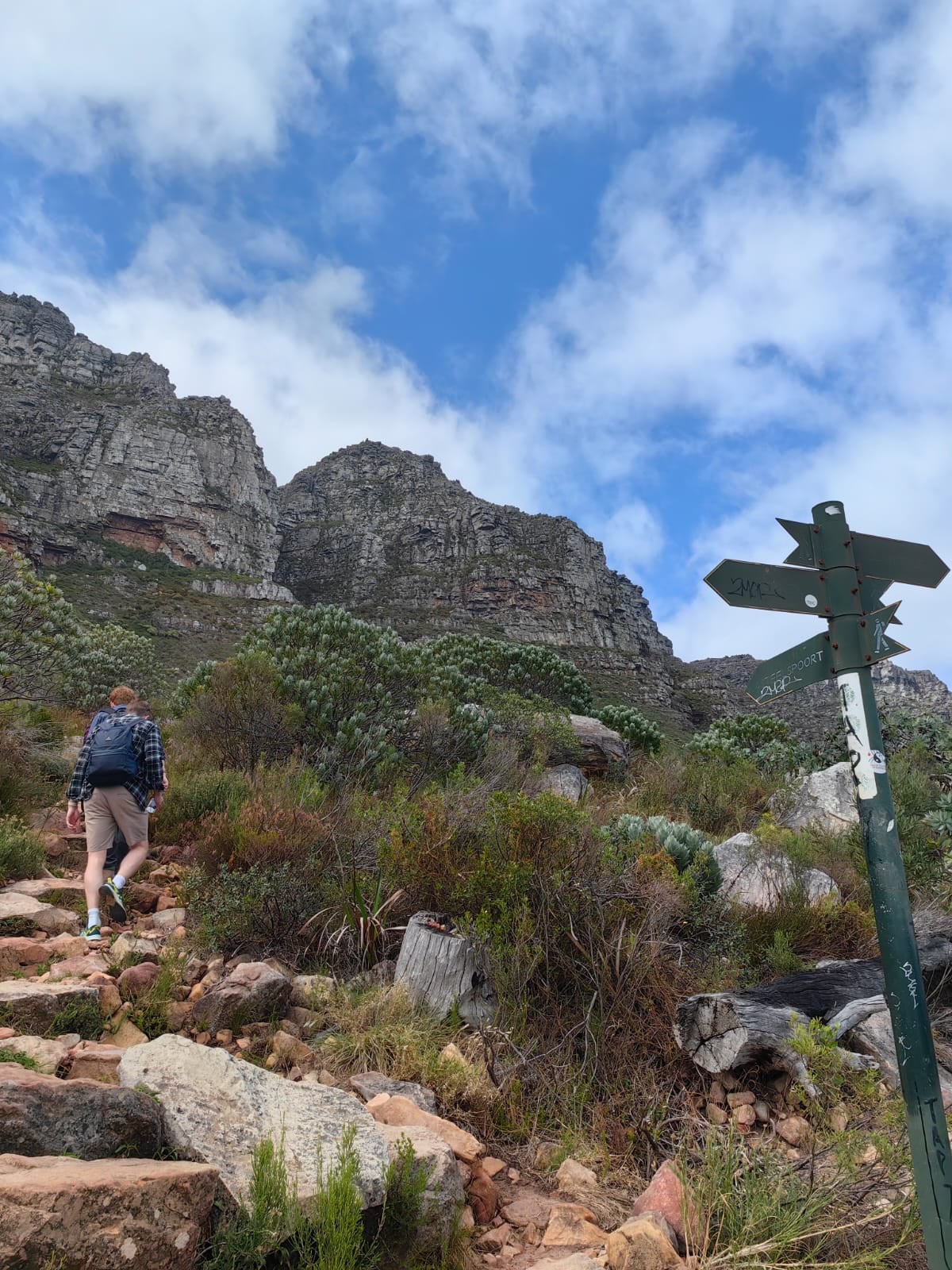 Hiking in Table Mountain