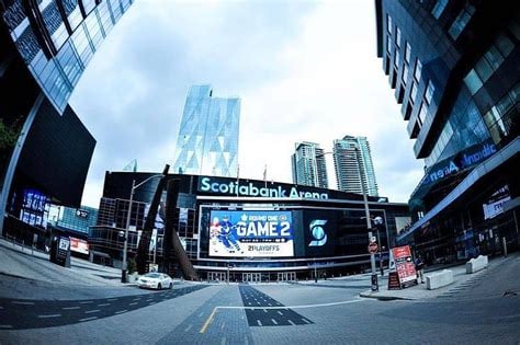 Attending a Sporting Event or Festival in Toronto