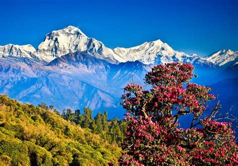 Travel to Nepal