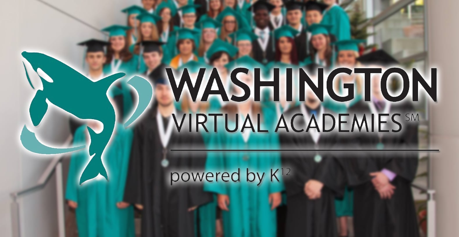 Wava School District Website