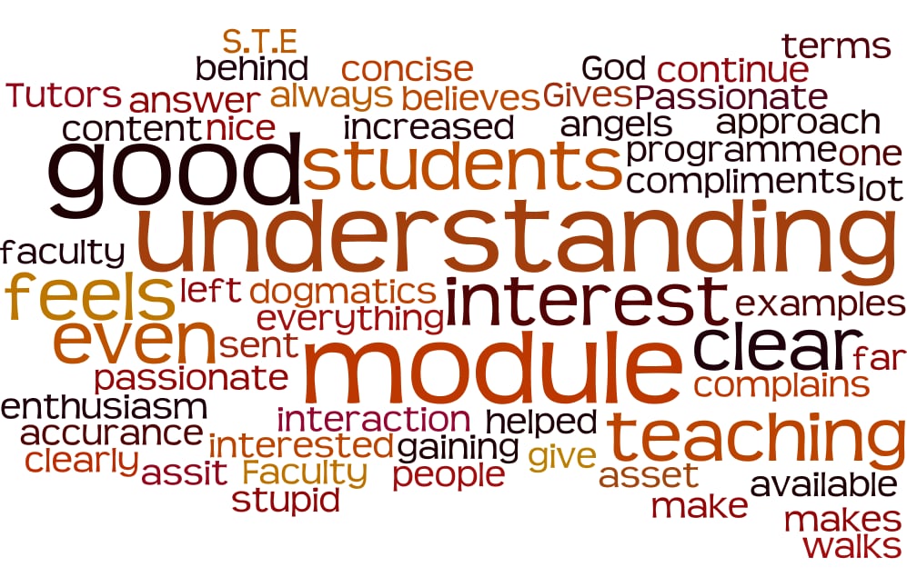 Wordle Feedback