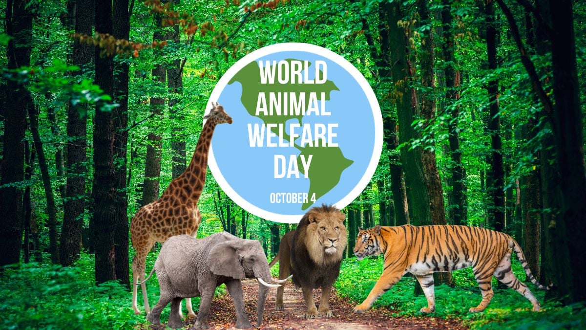 World Animal Day