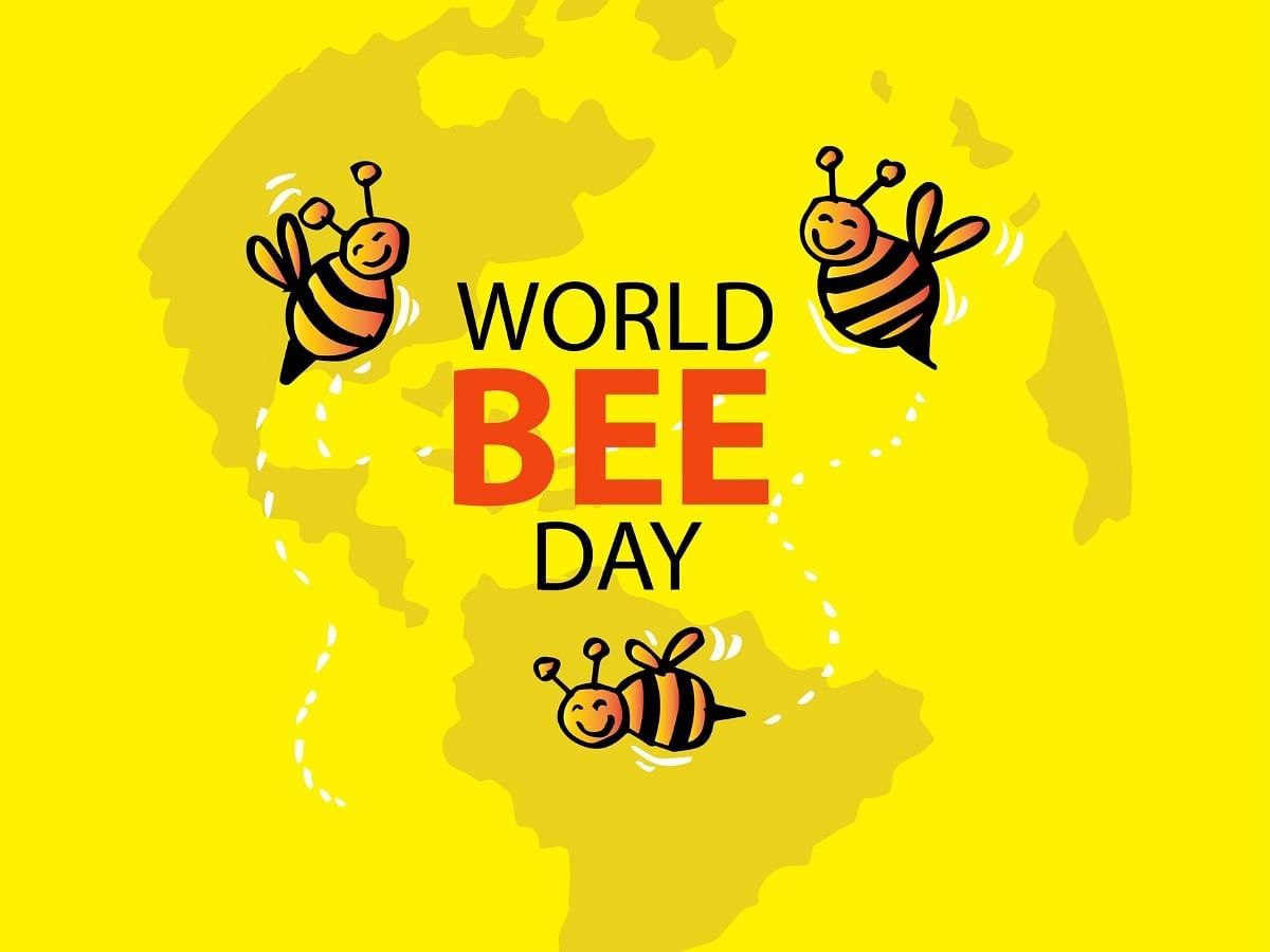 World Bee Day