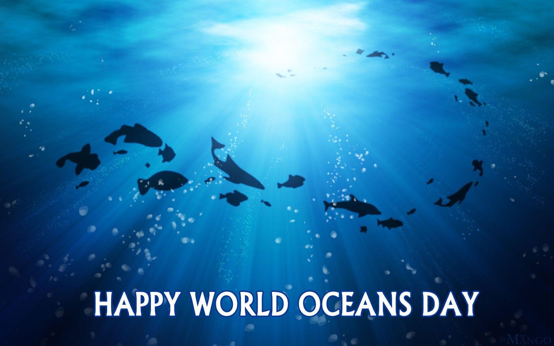 World Oceans Day