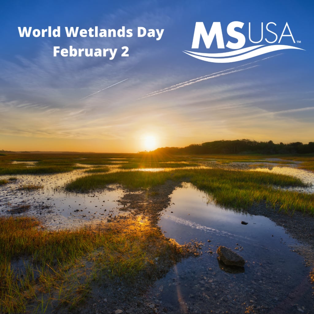 World Wetlands Day