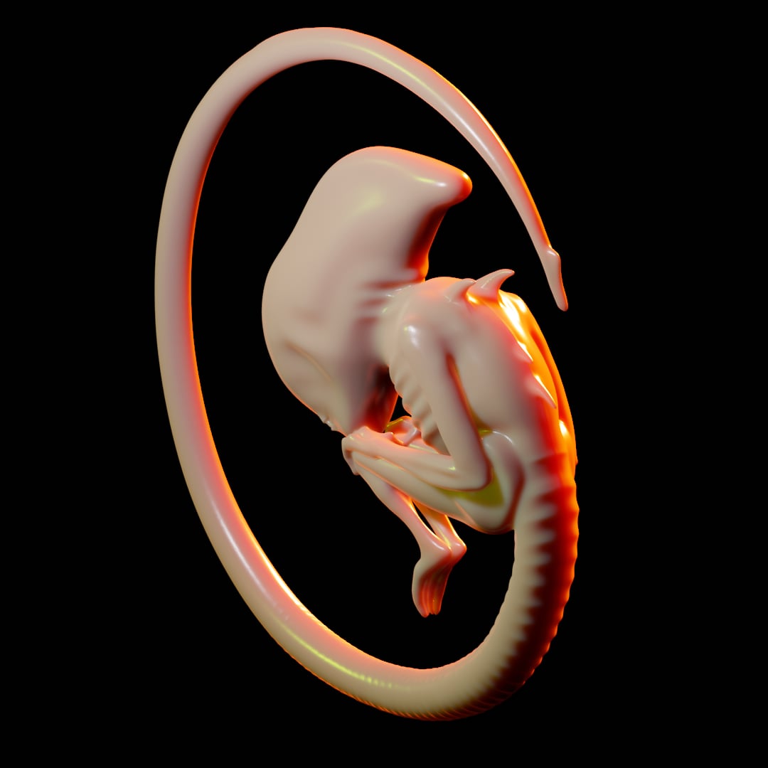 Xenomorph Embryo Development