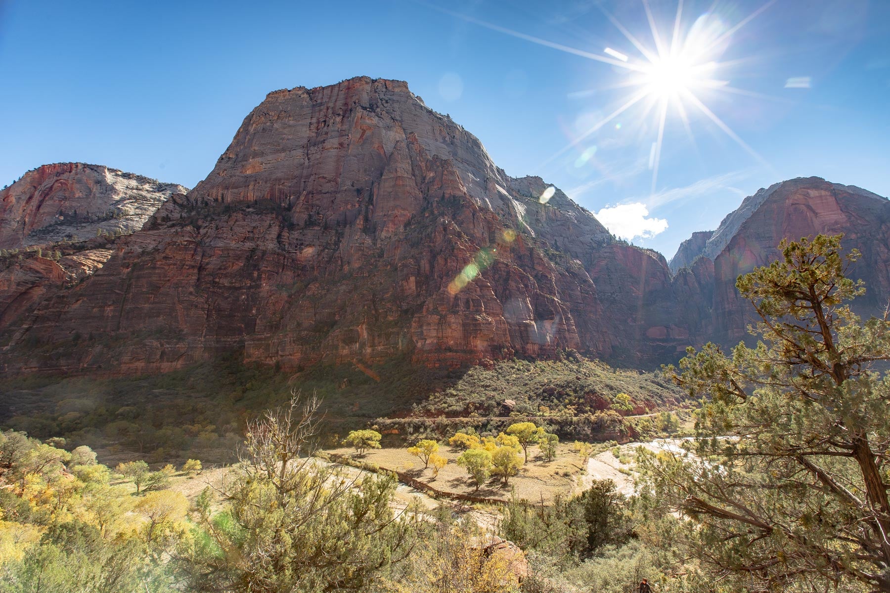 Zion National Park in Summer